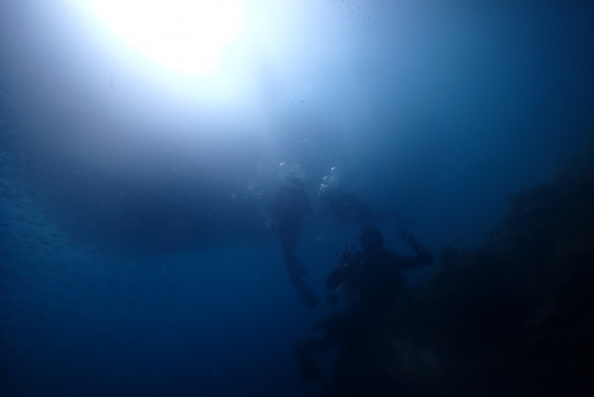 abe3679444a51ac530447871fa9dd76f_1676112560_3885.JPG