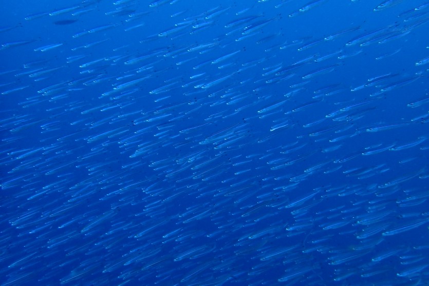965f7b01168fe307a2823564d2eba97f_1684925609_2753.JPG